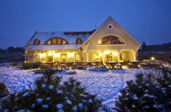 Koczor Winery & Guesthouse Балатонфюред Экстерьер фото