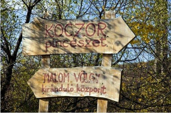 Koczor Winery & Guesthouse Балатонфюред Экстерьер фото