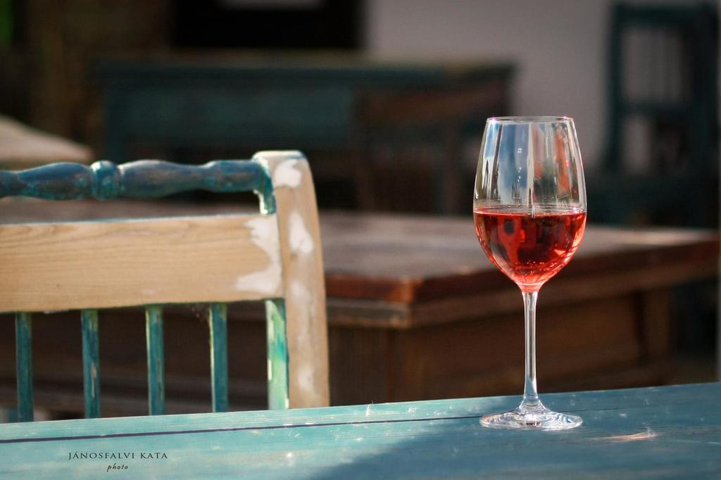 Koczor Winery & Guesthouse Балатонфюред Экстерьер фото