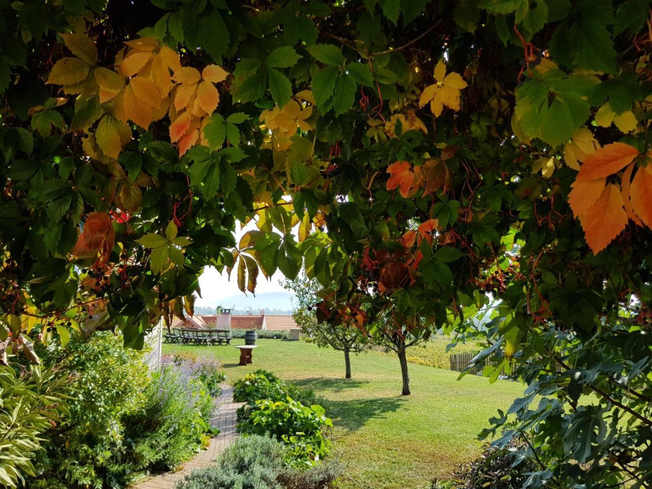 Koczor Winery & Guesthouse Балатонфюред Экстерьер фото